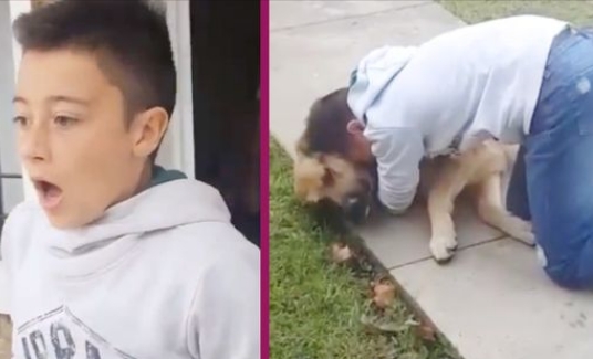 Video: 11-Jähriger findet Hund nach 8 Monaten wieder